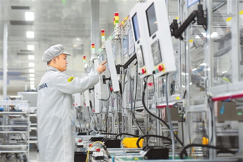 绿色智能 图自动识别技术在可持续发展中的创新应用与开发