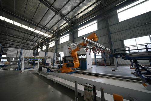 2026江苏X射线智能分选机厂商全景评估 聚焦五大服务商与自动识别技术开发